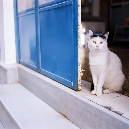 Marvelous Naxos Two Bedroom Center 200m From *